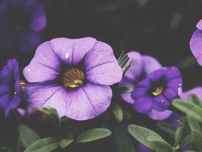 Acrylic Photo Frame 2 view 1